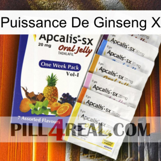 Ginseng Power X 11